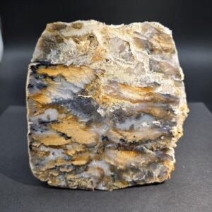 World Class Cut and Polished Graveyard Point Agate Stone #01