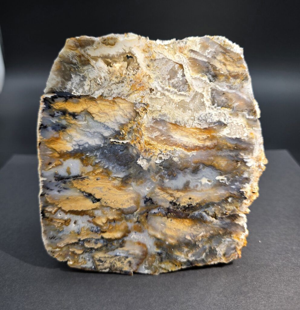 World Class Cut and Polished Graveyard Point Agate Stone #01