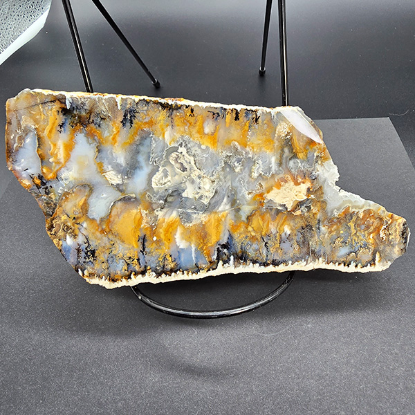 World Class Graveyard Point Agate Polished End Cut #013