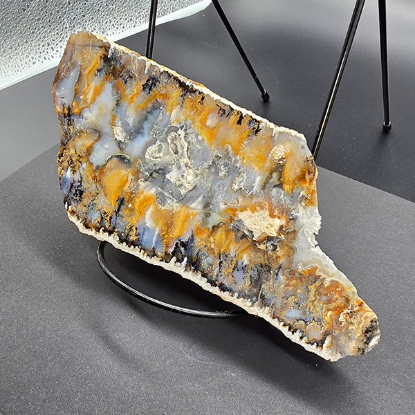 World Class Graveyard Point Agate Polished End Cut #013 - Image 5