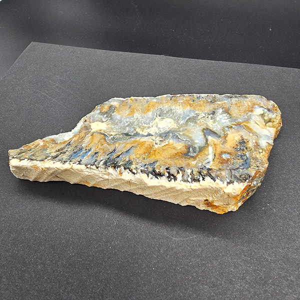 World Class Graveyard Point Agate Polished End Cut #013 - Image 4