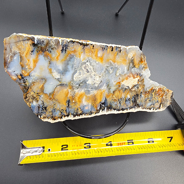 World Class Graveyard Point Agate Polished End Cut #013 - Image 3