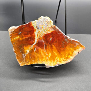 Polished Petrified Wood End Cut – 705g Display Piece with Rich Golden & Amber Colors #011