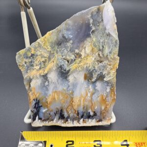 Beautiful Polished Graveyard Point Agate End Piece #18