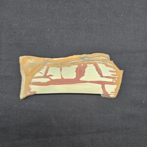 Owyhee Picture Jasper Slab #21