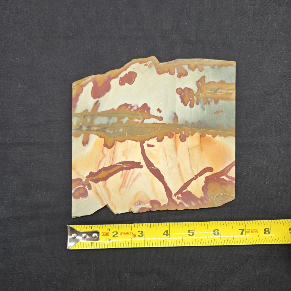 Owyhee Picture Jasper Slab #22