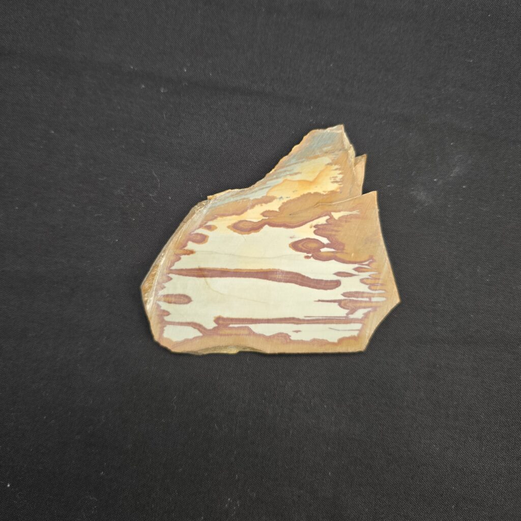 Owyhee Picture Jasper Slab #24