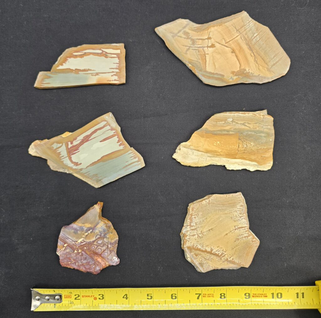Jasper Variety Pack of 6 Cut Unpolished Slabs #25