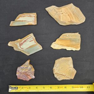 Jasper Variety Pack of 6 Cut Unpolished Slabs #25