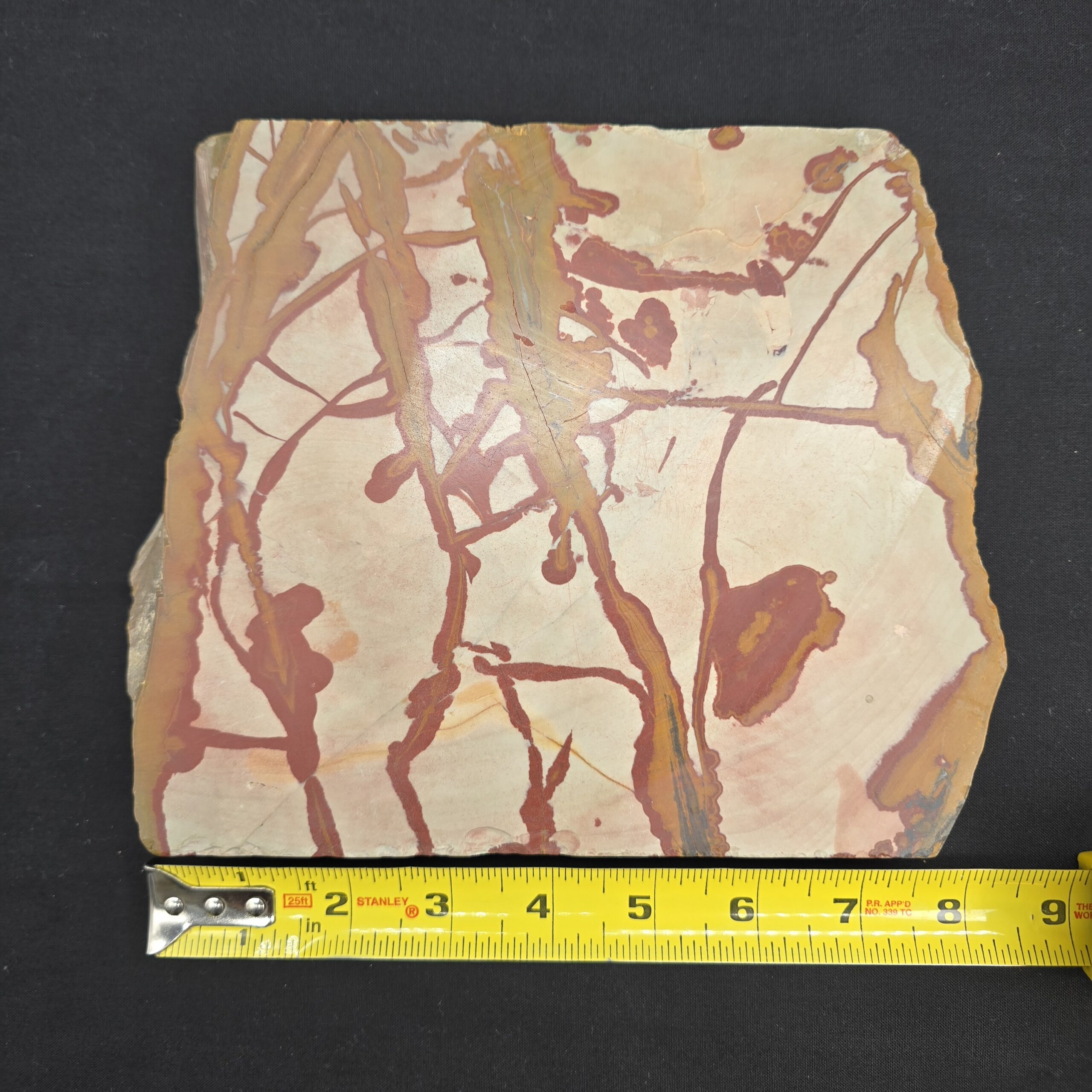 Owyhee Picture Jasper Large Cut Piece (read description) #26 - Image 4