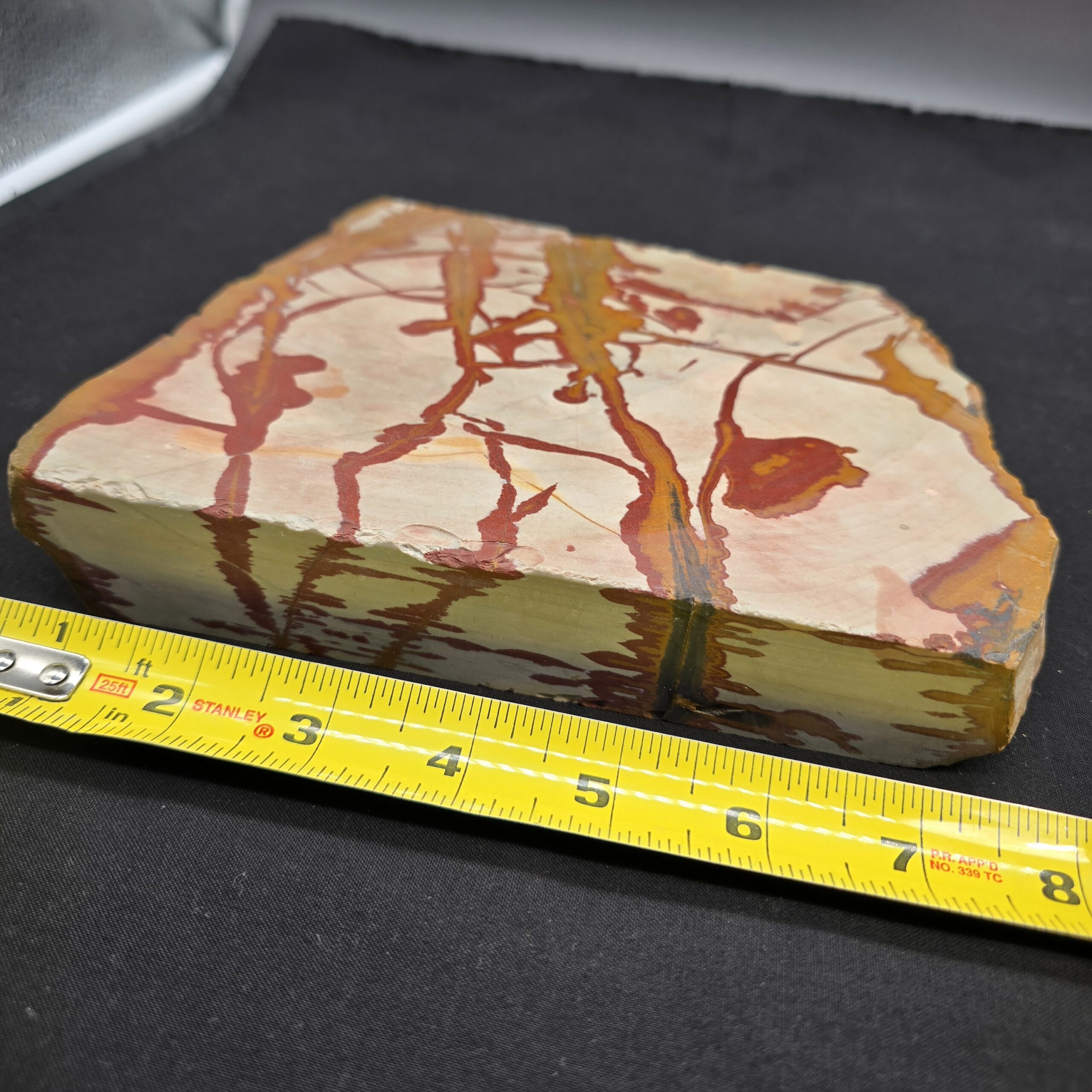 Owyhee Picture Jasper Large Cut Piece (read description) #26 - Image 3