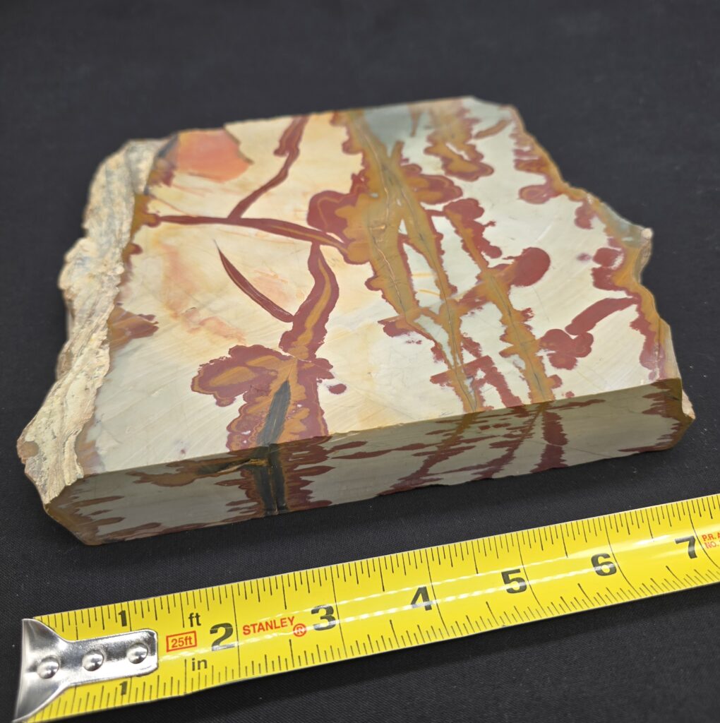 Owyhee Picture Jasper Large Cut Piece (read description) #26