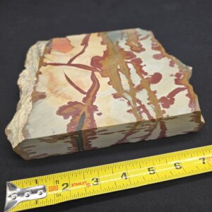 Owyhee Picture Jasper Large Cut Piece (read description) #26