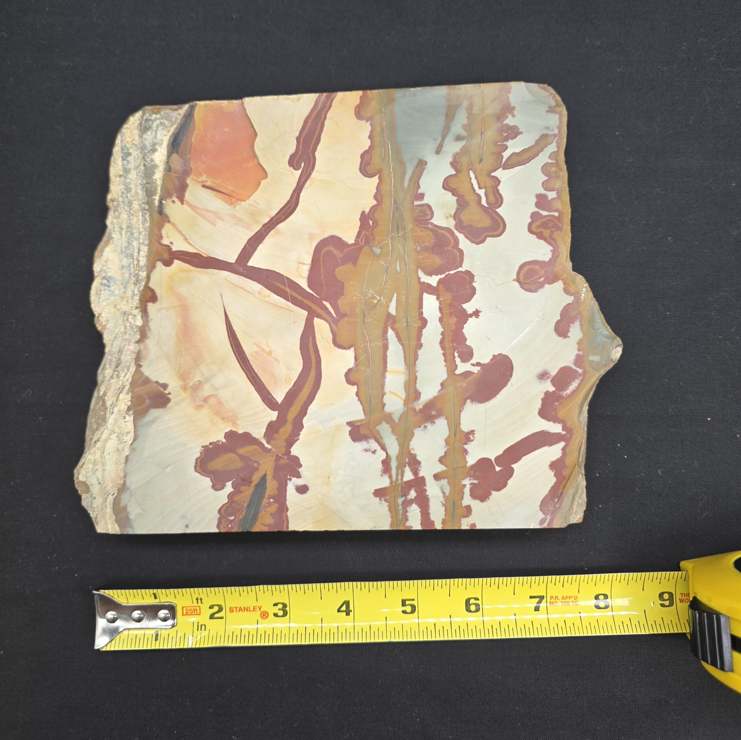 Owyhee Picture Jasper Large Cut Piece (read description) #26 - Image 2