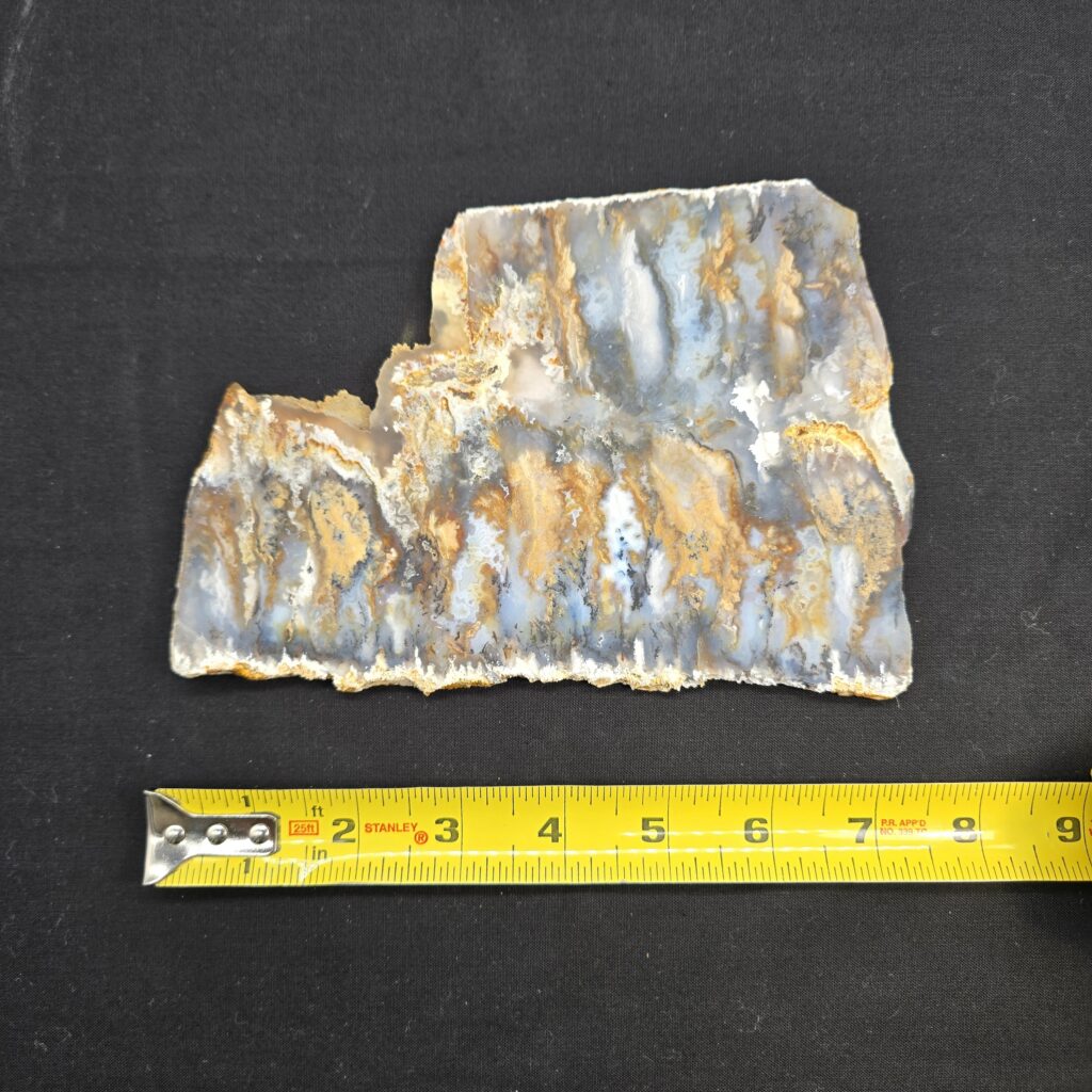 Premium Graveyard Point Plume Agate Slab #32