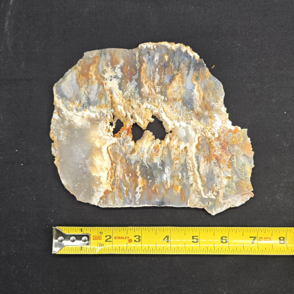 Premium Graveyard Point Plume Agate Slab #33