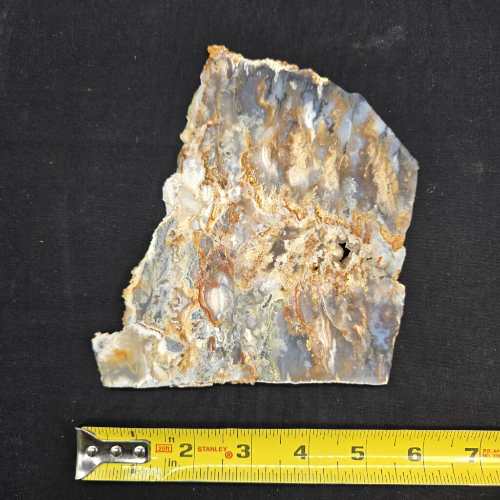 Premium Graveyard Point Plume Agate Slab #34
