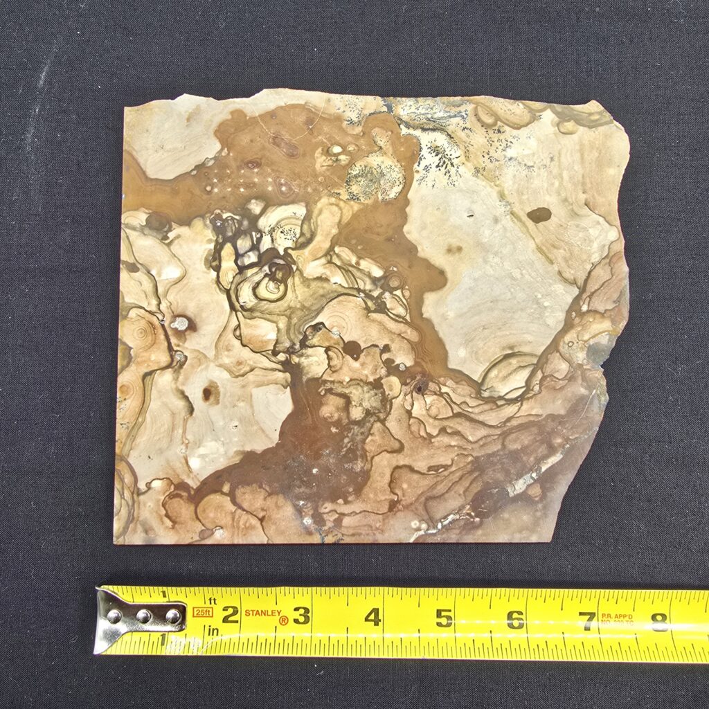 Biggs Oregon Picture Jasper Slab - Unpolished #35