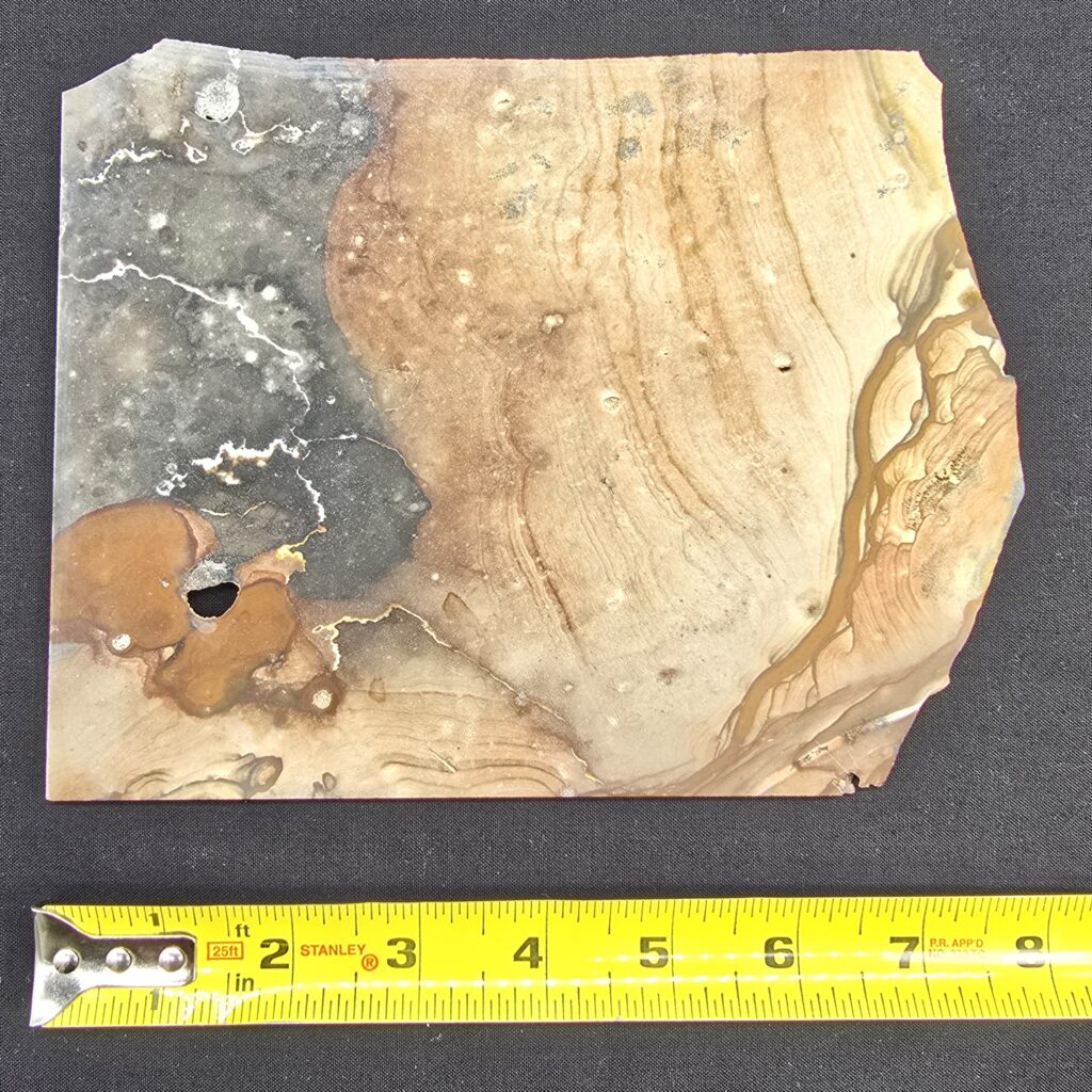 Biggs Oregon Picture Jasper Slab - Unpolished #36