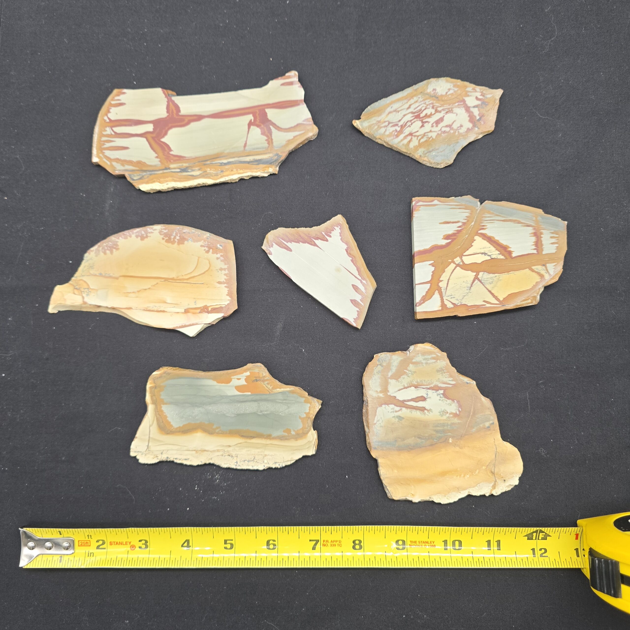 Owyhee Picture Jasper Slab Variety Pack - Unpolished #38 - Image 2