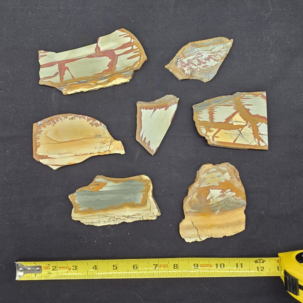 Owyhee Picture Jasper Slab Variety Pack - Unpolished #38