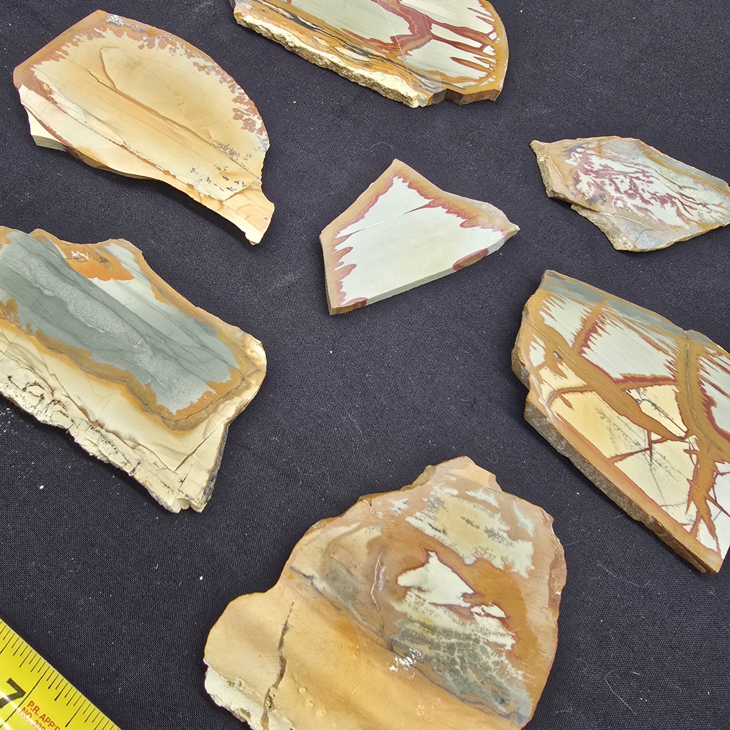 Owyhee Picture Jasper Slab Variety Pack - Unpolished #38 - Image 3