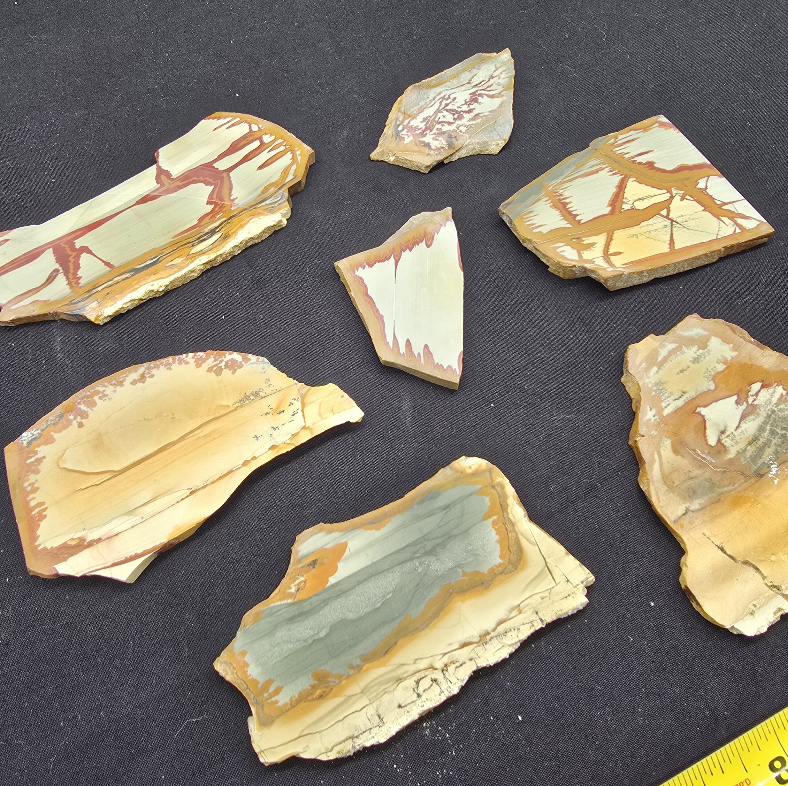 Owyhee Picture Jasper Slab Variety Pack - Unpolished #38 - Image 4