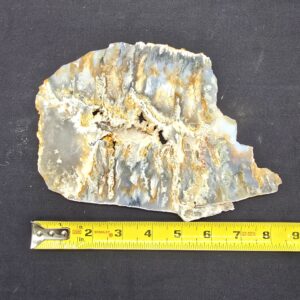 Graveyard Point Plume Agate Slab Un-Polished #40