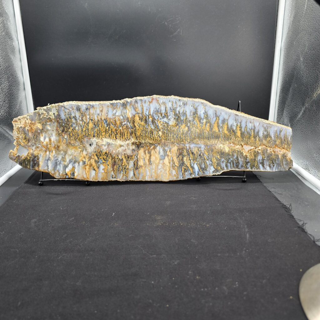 World Class 22'' Graveyard Point Plume Agate Slab Un-Polished #42
