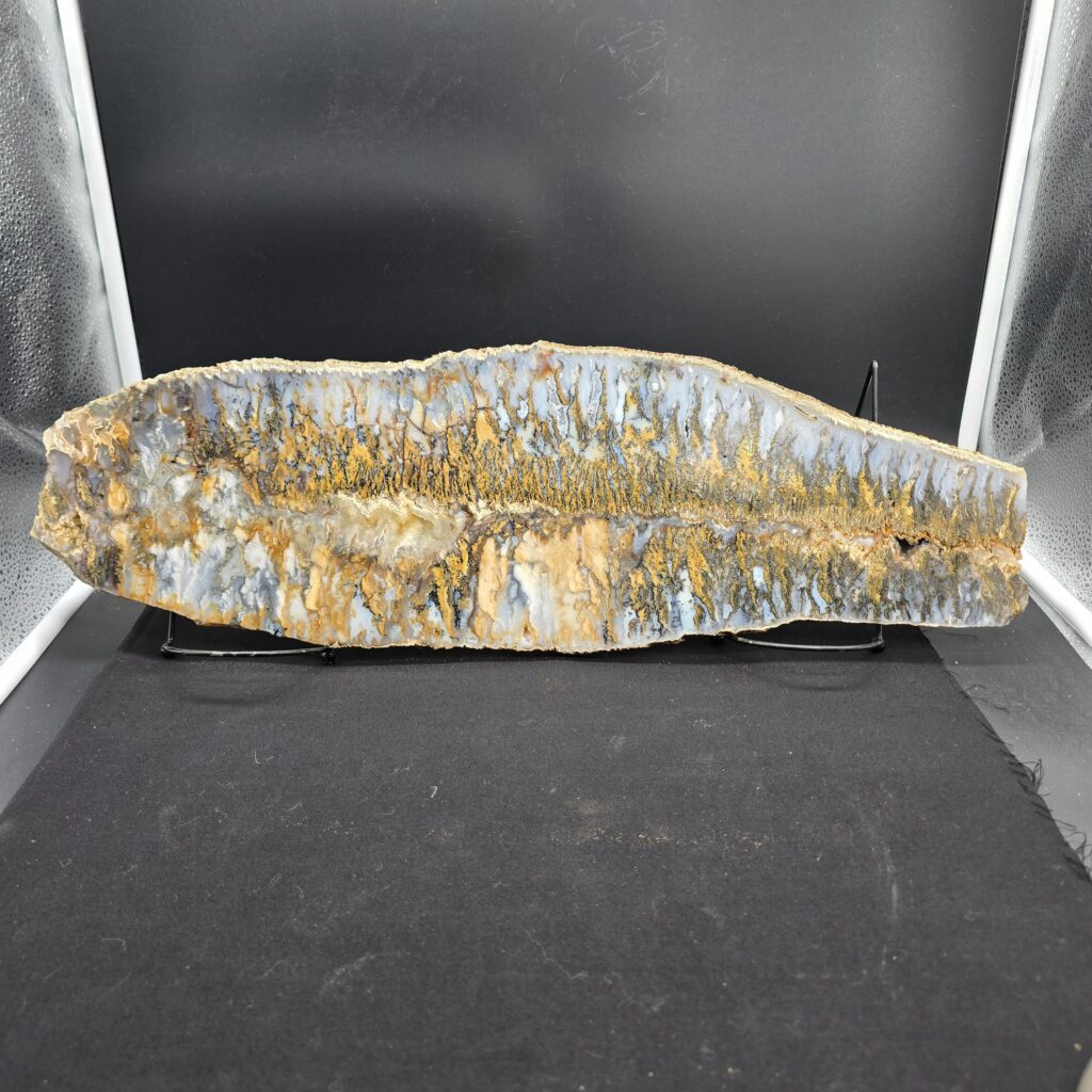 World Class 22'' Graveyard Point Plume Agate Slab Un-Polished #43