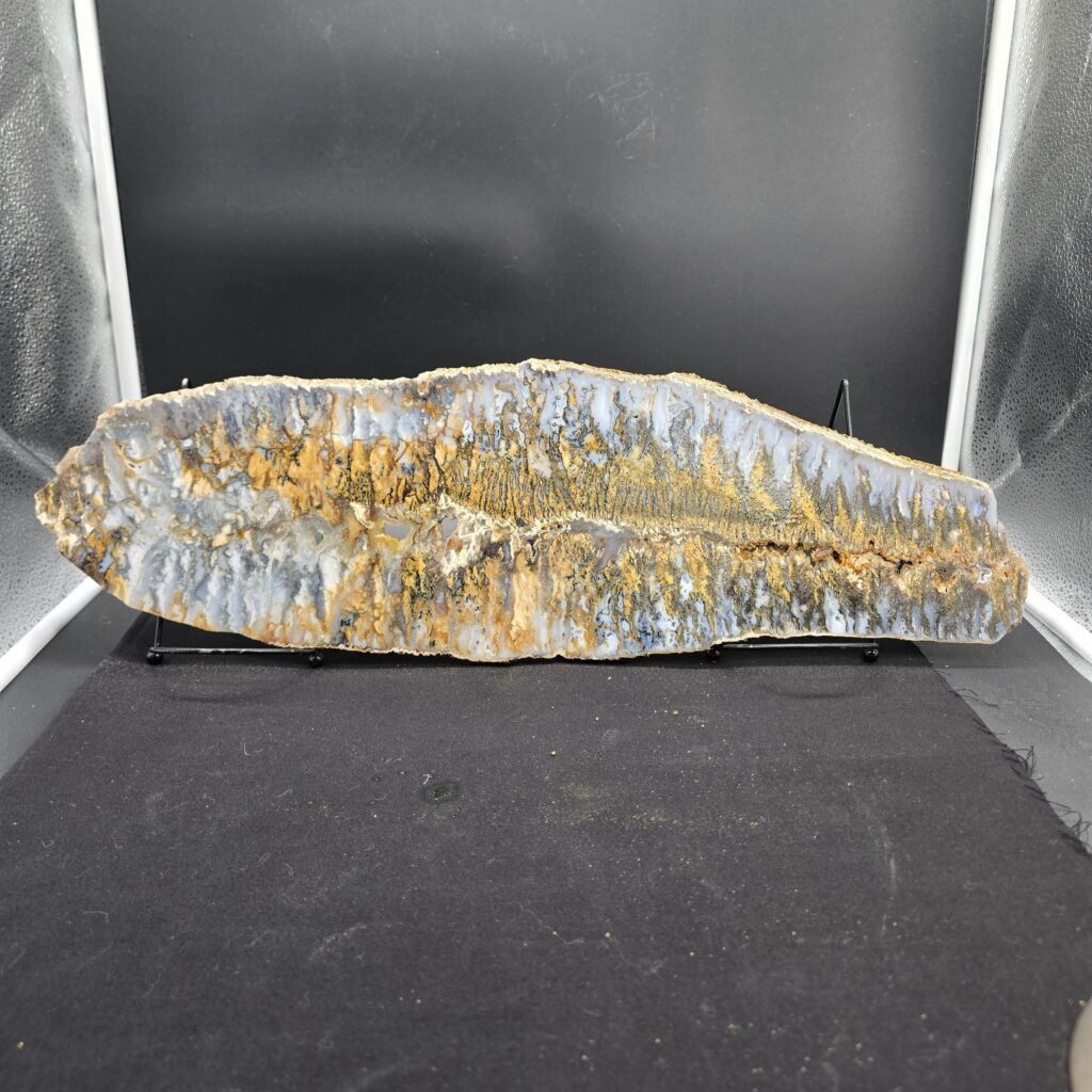World Class 22'' Graveyard Point Plume Agate Slab Un-Polished #44